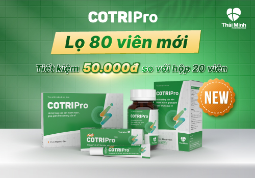 Cotri banner 3 T9 2024 500x350-01.jpg